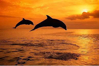 《星之海》试玩Demo上线Xbox 8月30日正式发售