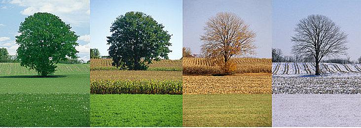 Steam新游周报：上世纪的经典战旗游戏回归！